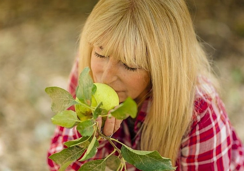 Lee más sobre el artículo La mejor alimentación durante la menopausia